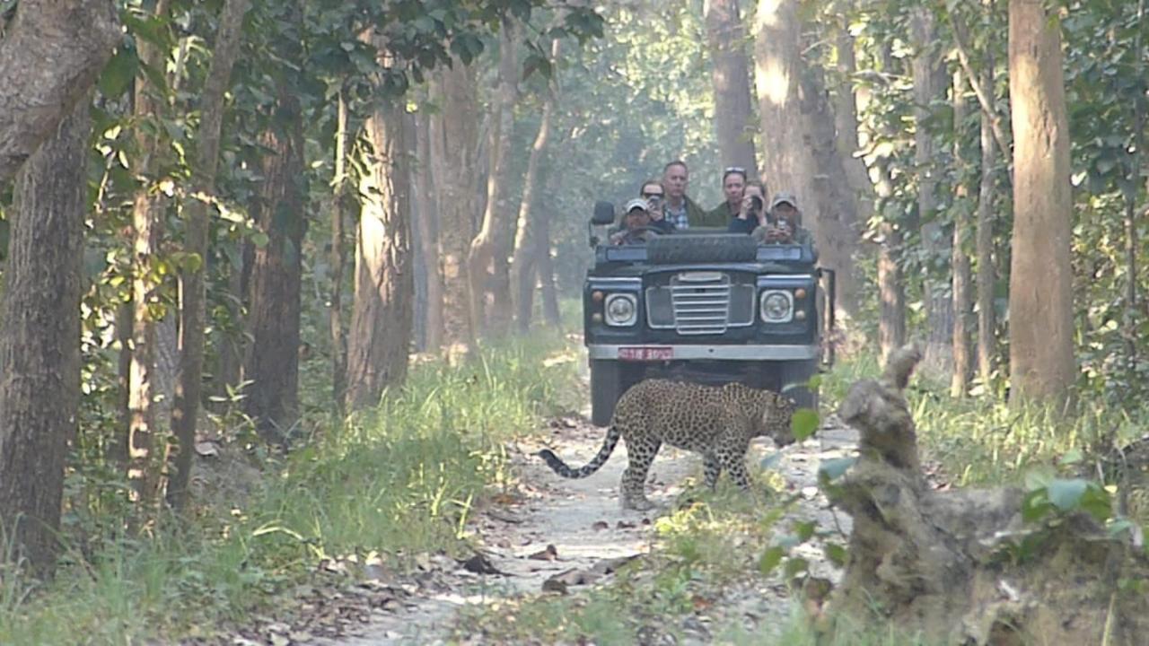 Tiger Tops Karnali Lodge Bardiyā Exterior foto