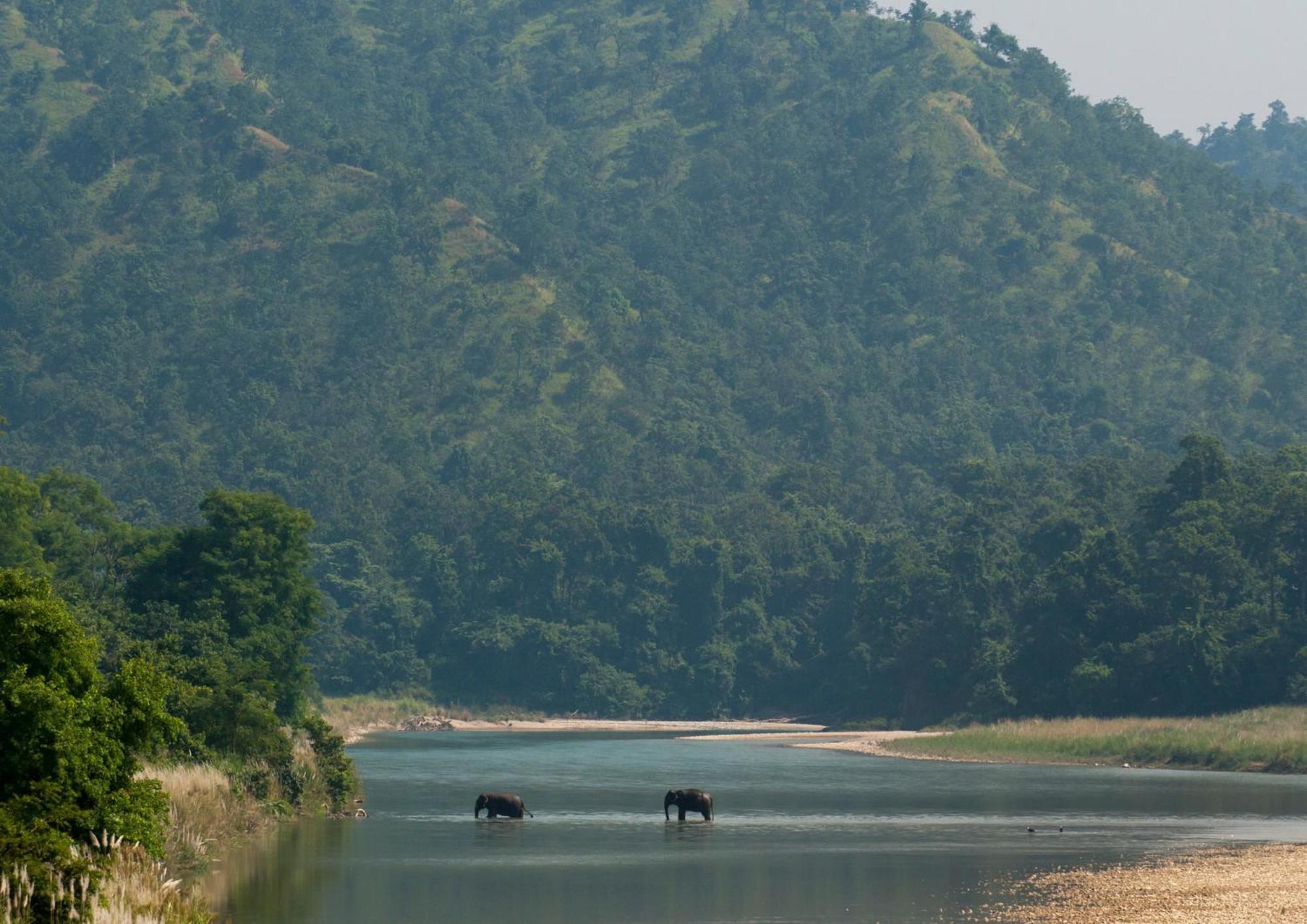 Tiger Tops Karnali Lodge Bardiyā Exterior foto